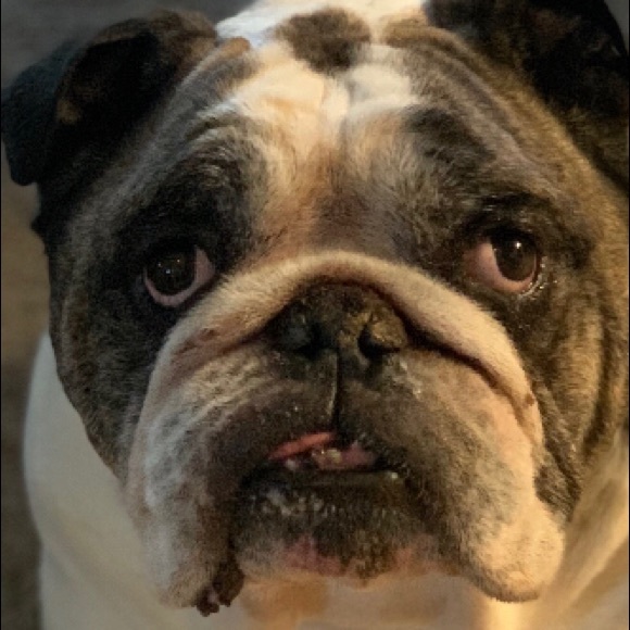 Meet your Posher, Alex - Picture 1 of 1